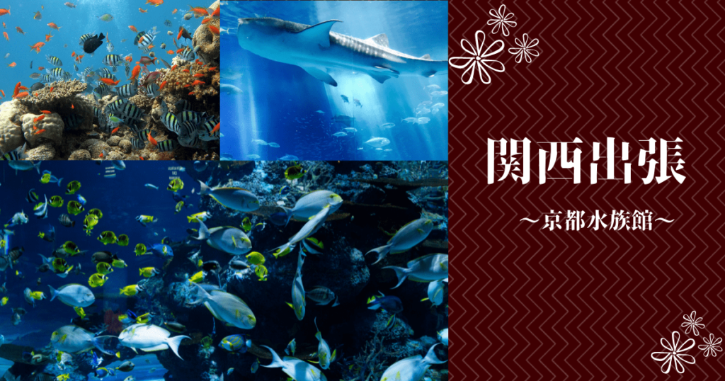 関西出張　京都水族館3