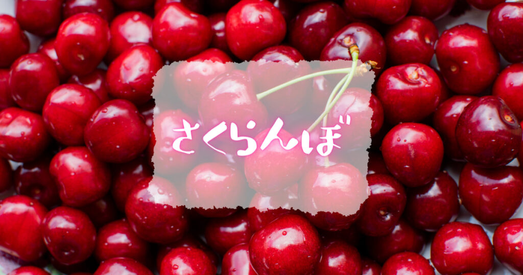 さくらんぼ